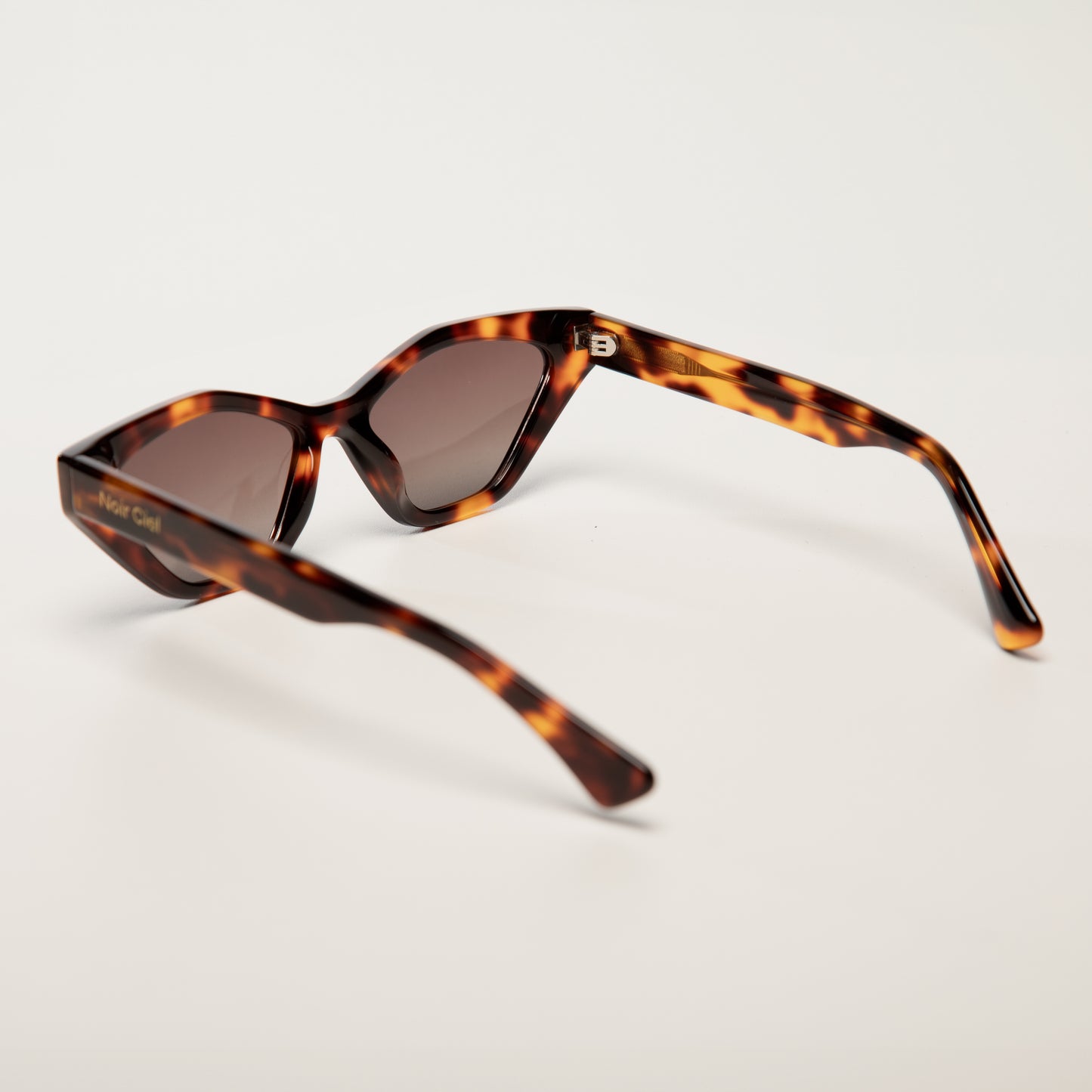 Lunettes de soleil unisexes | Lueur d'Aube | Tortue