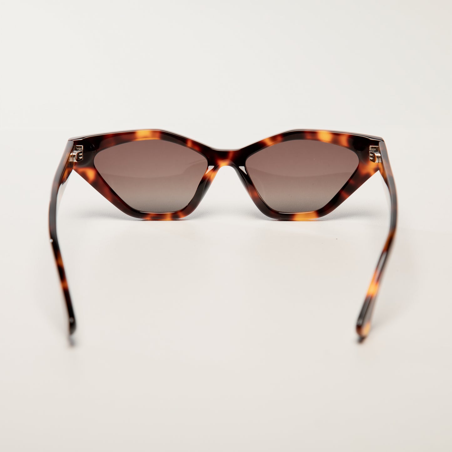Lunettes de soleil unisexes | Lueur d'Aube | Tortue